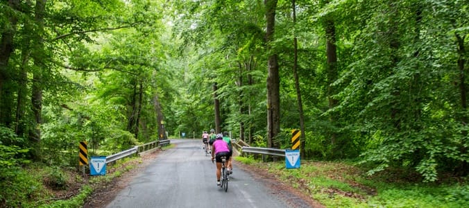 Kevin Collington and Meredith Kessler win Challenge Williamsburg