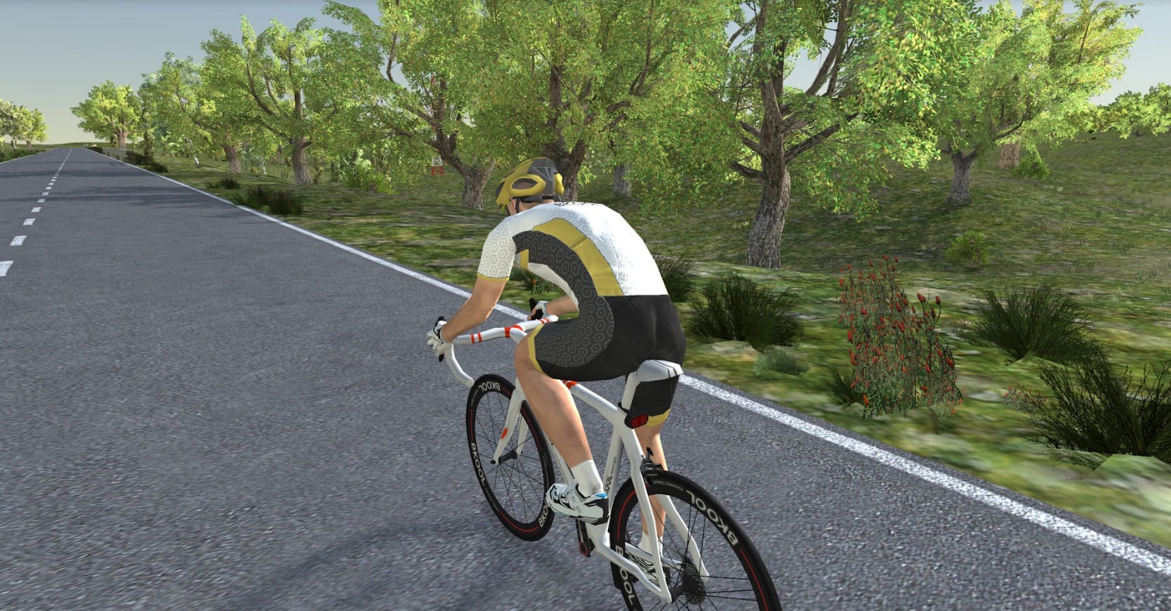 Ride the Royal Windsor Triathlon before you race with Bkool Post image