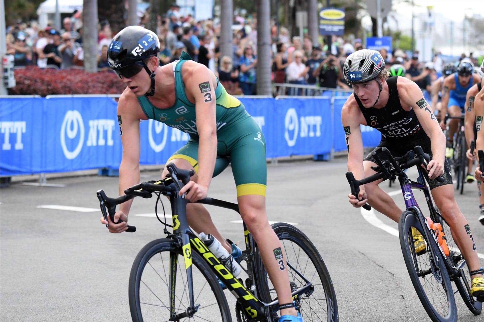 Trans-Tasman Rivalry Set to Reignite in Port Douglas Post image