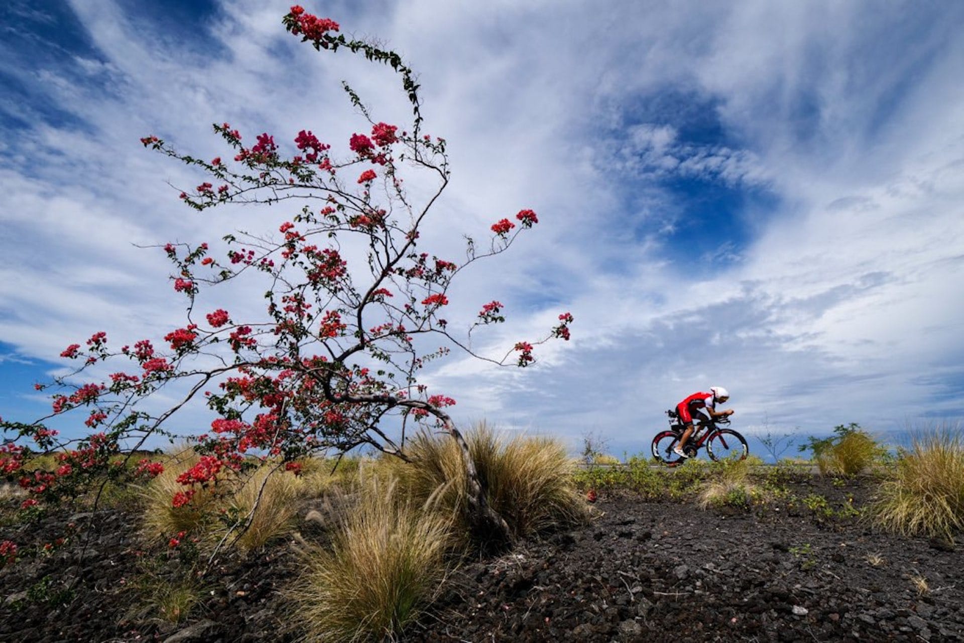 Top Bike Images From Race Day at 2018 Ironman World Championship Post feature image