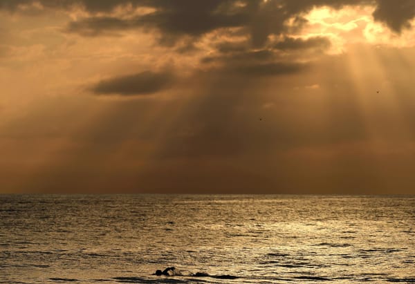 Top Images From Thursday at Ironman 70.3 World Championship